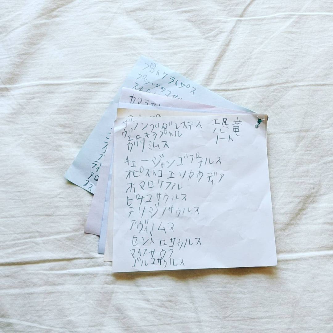 The dinosaur notebook made by my son