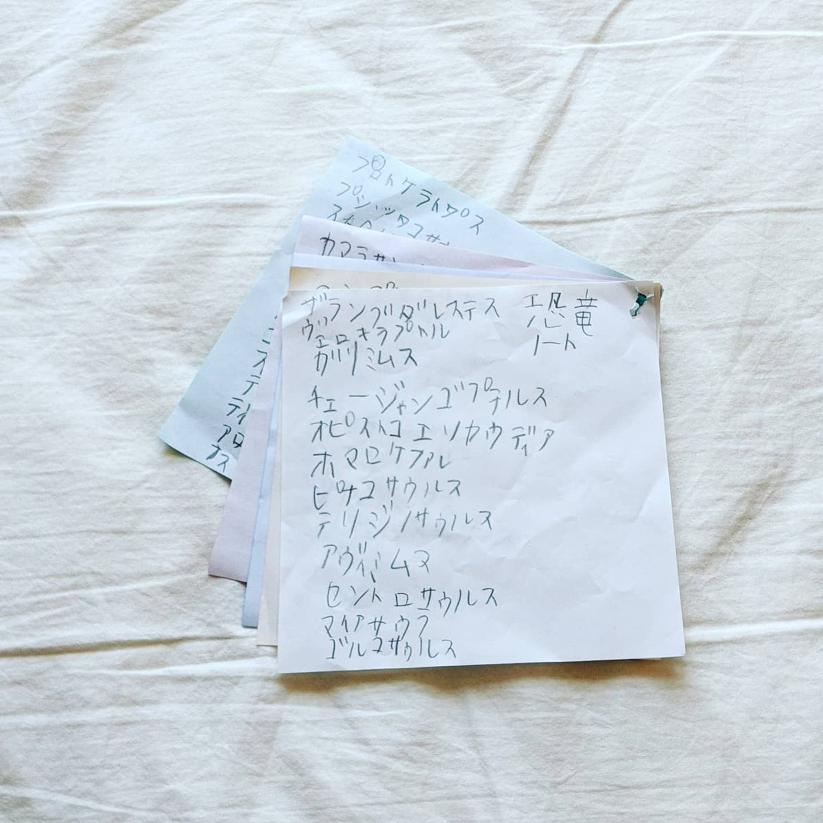 The dinosaur notebook made by my son