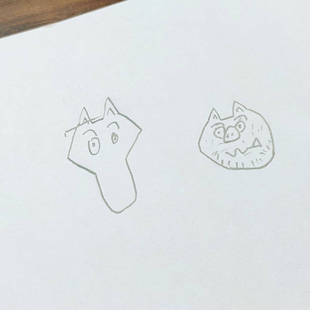 My son's favorite, Zorori