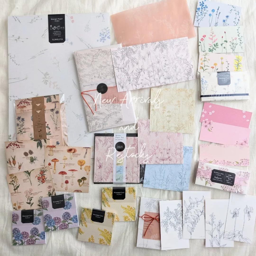 New arrivals and restocks from mocolier ♡