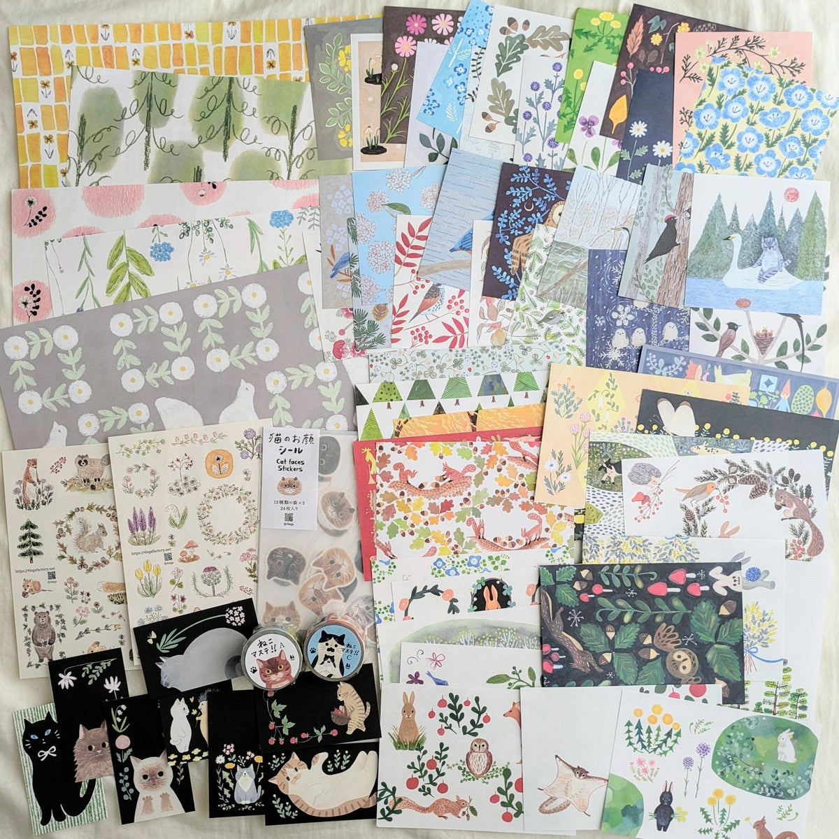 New Arrivals and Restocks from 4legs ♡♡