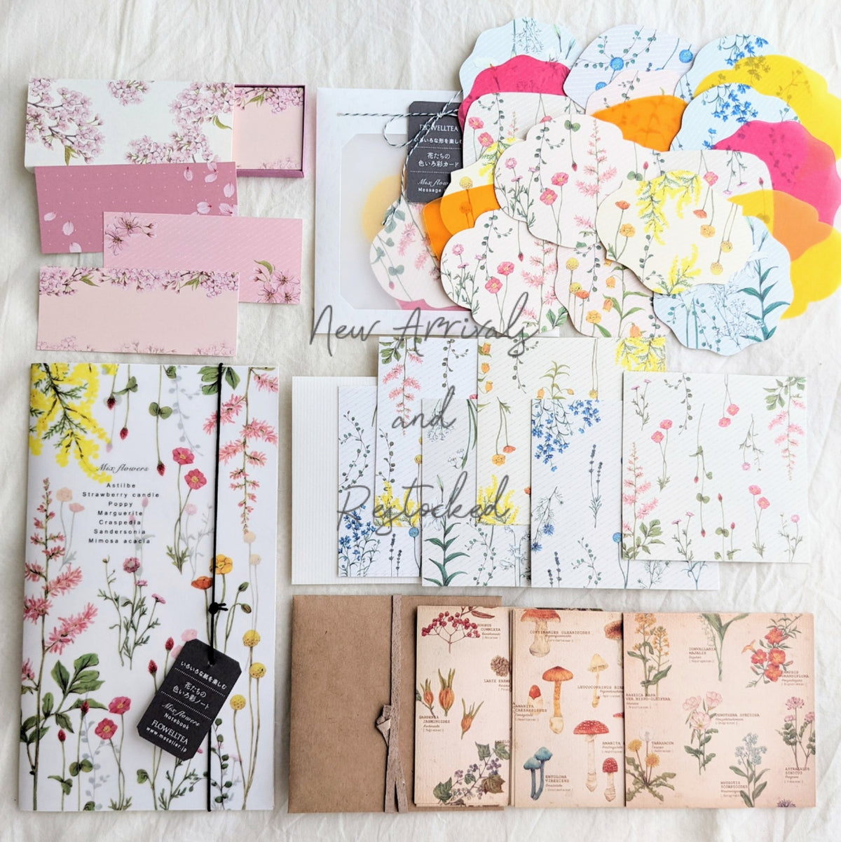 New arrivals and restocks from mocolier♡