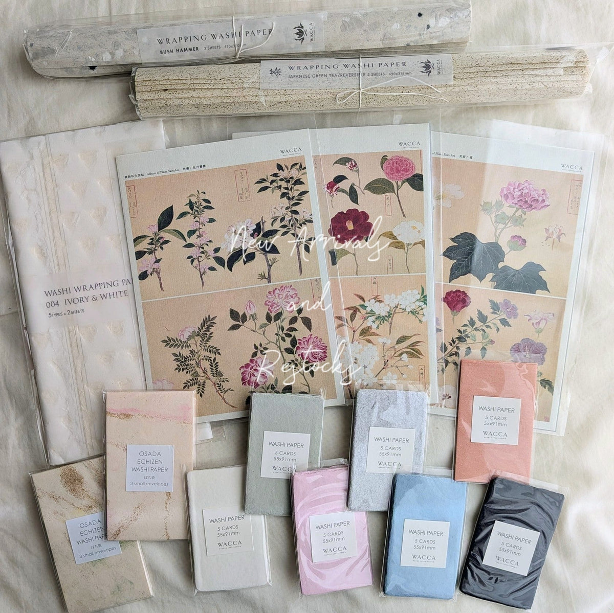 New arrivals and Restocks from WACCA JAPAN ♡