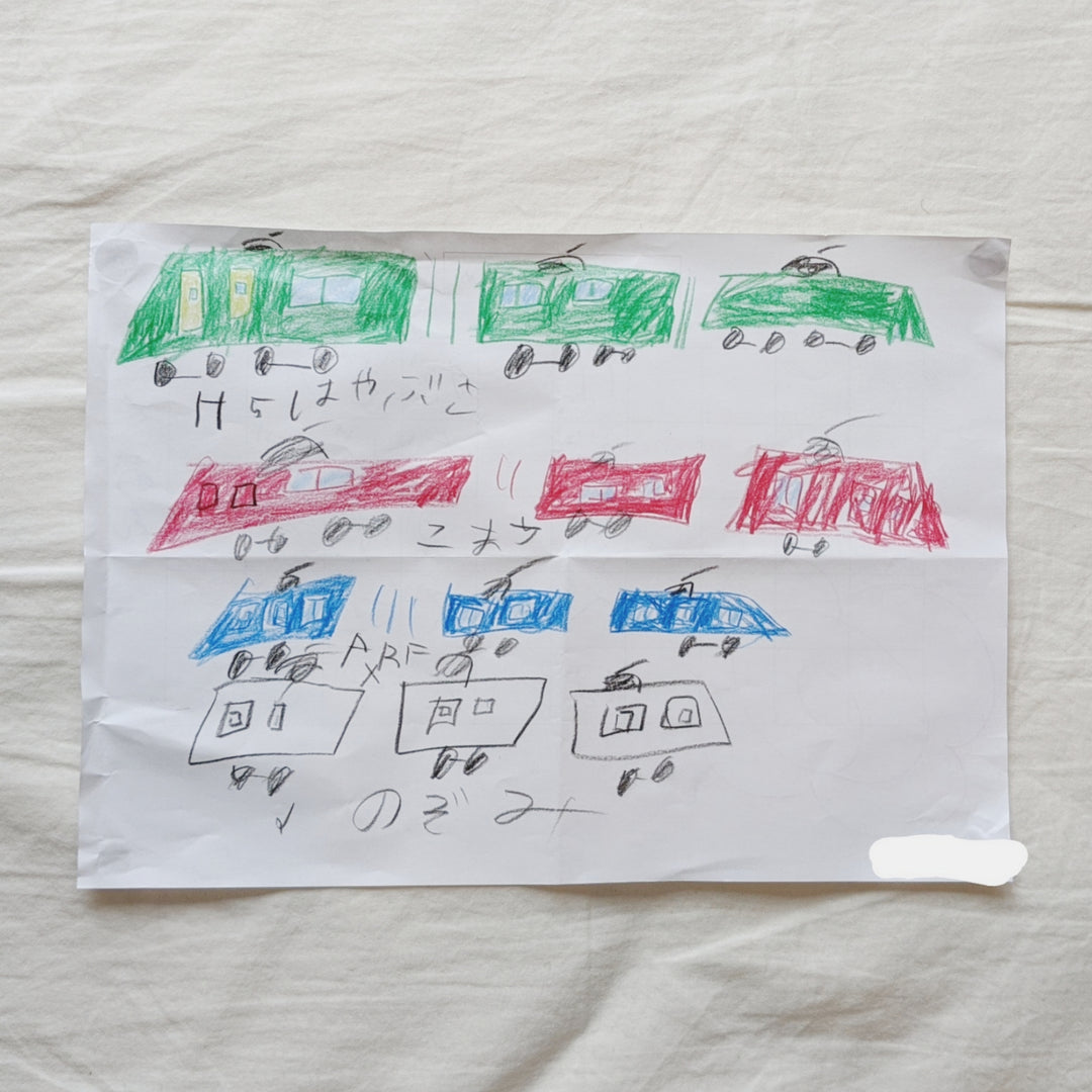 My son's favorite bullet train