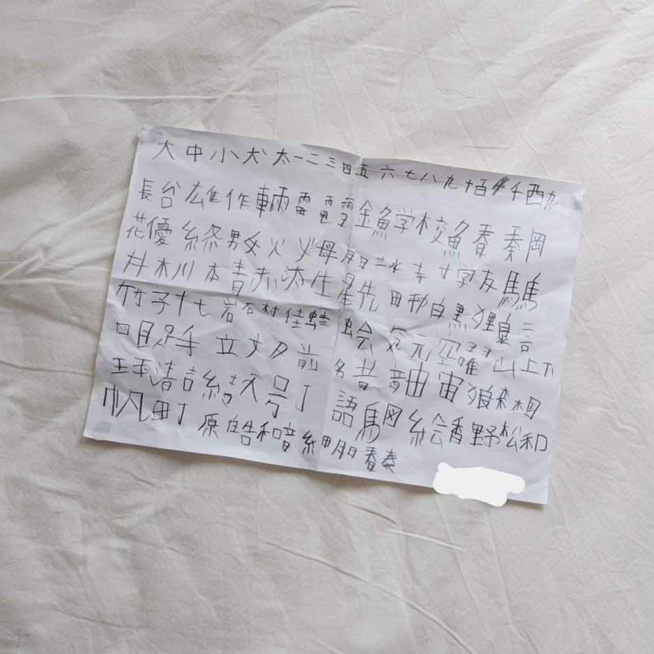 My son loves Japanese Kanji