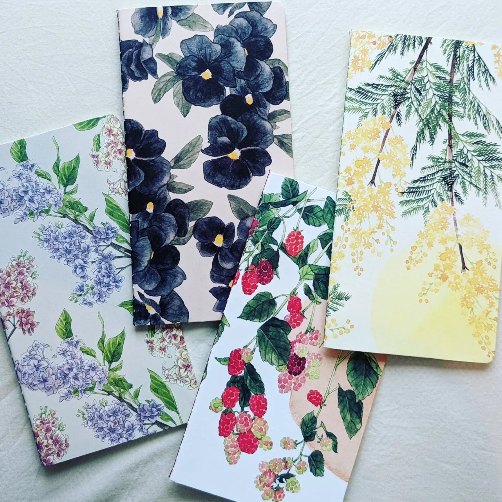 ponchise (Yumi Imai)