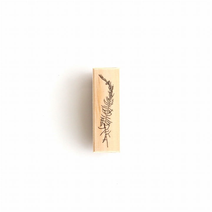 always smile... / Rubber Stamp -sea star fern