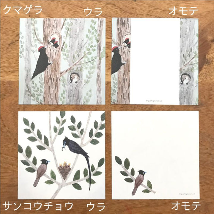 4legs / Wild birds letter Paper <14 types x 7 sheets each>