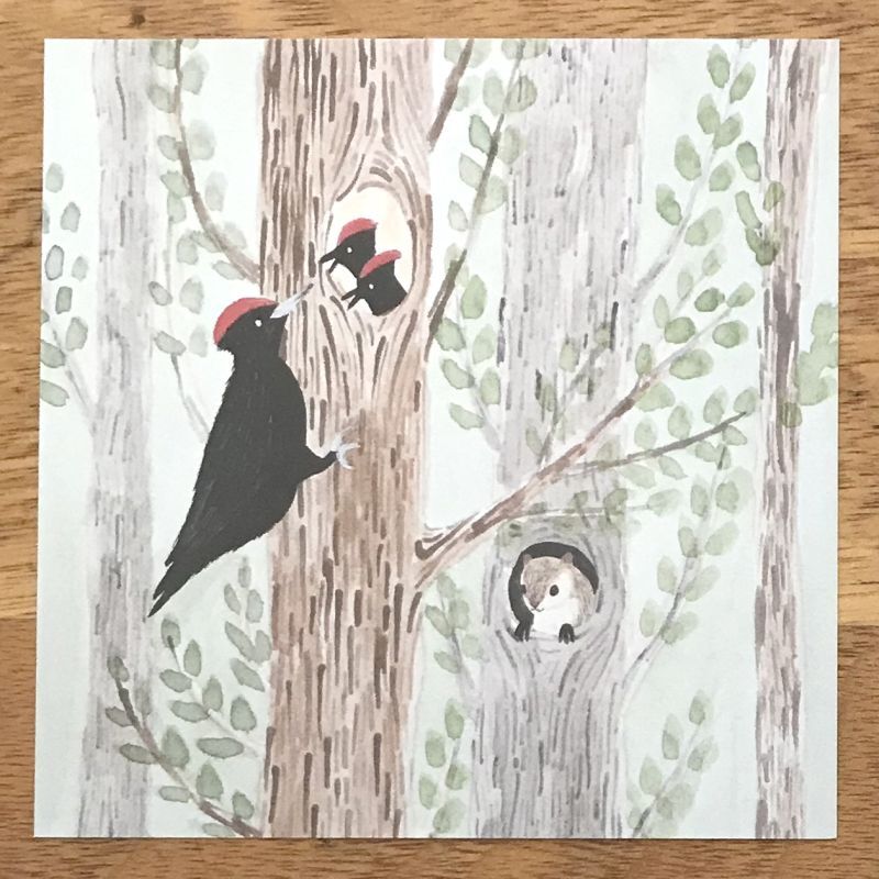 4legs / Wild birds letter Paper <14 types x 7 sheets each>