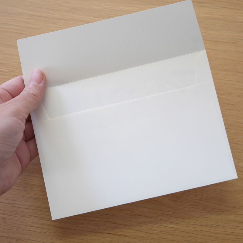 4legs / Envelopes 5sheets <Mimosa and Little Bird >