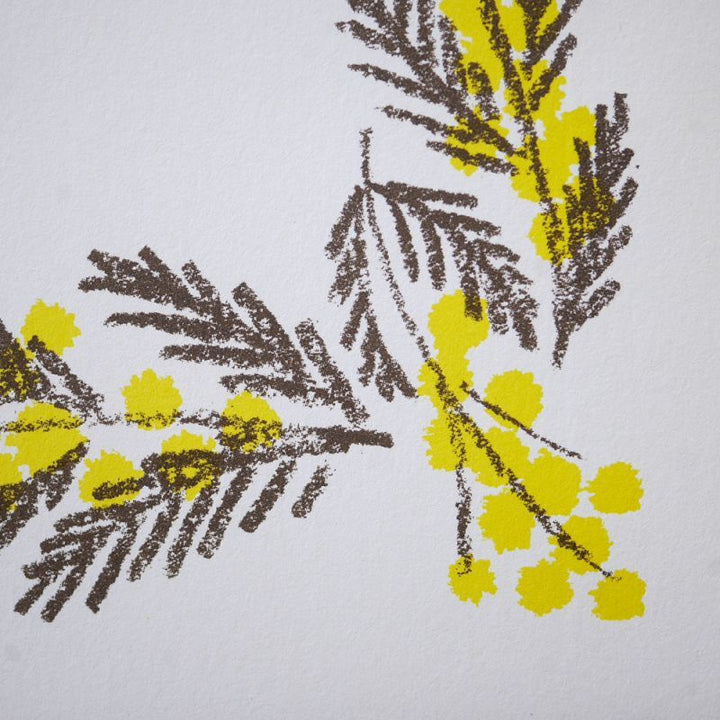 4legs / Envelopes 5sheets <Mimosa and Little Bird >