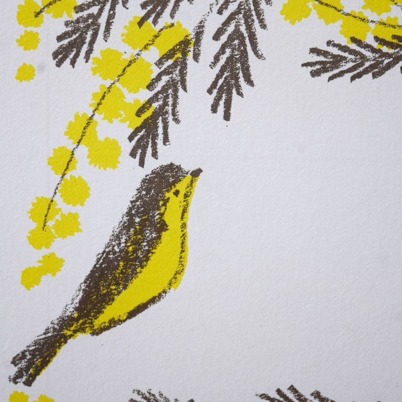 4legs / Envelopes 5sheets <Mimosa and Little Bird >