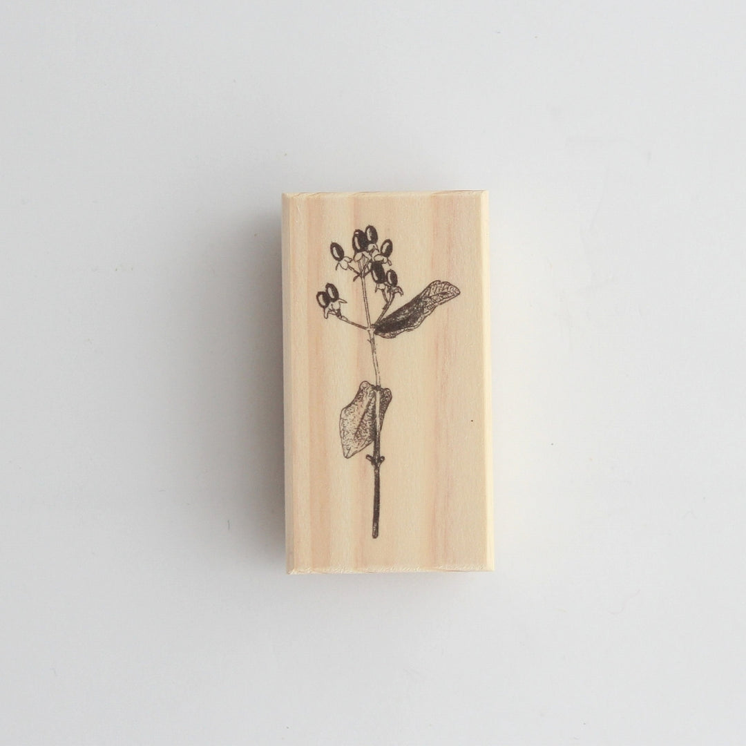 Rubber Stamps -Hypericum