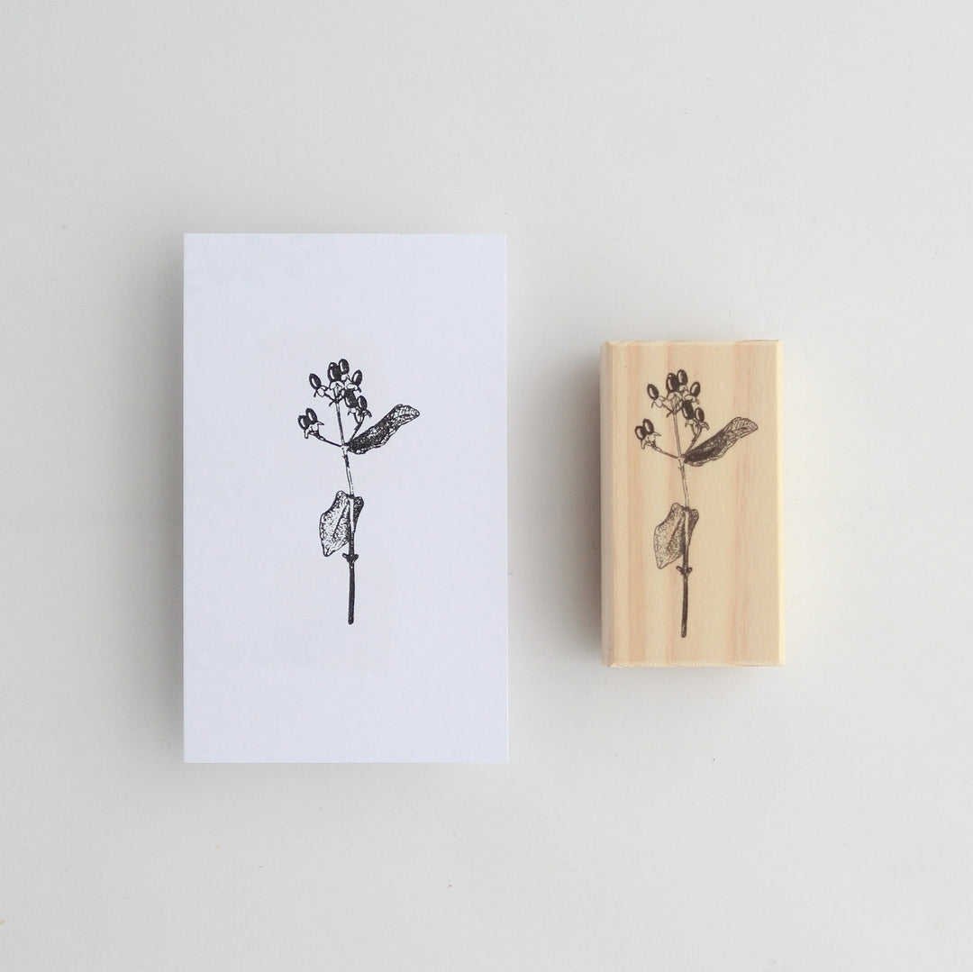 Rubber Stamps -Hypericum