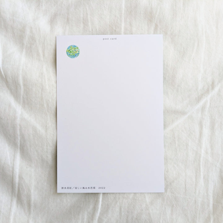 Miku Shimizu / Post Card "Cool breeze comes from skunk cabbage"