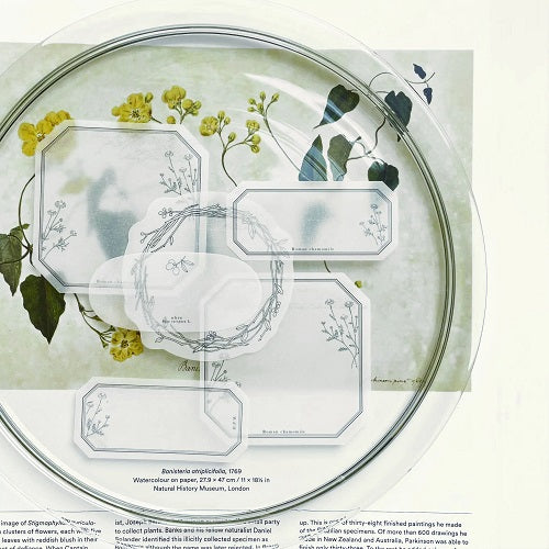 Hutte Paper Works / Die-cut transparent sticky note -Chamomile1/Chamomile2/Wreath/Olive