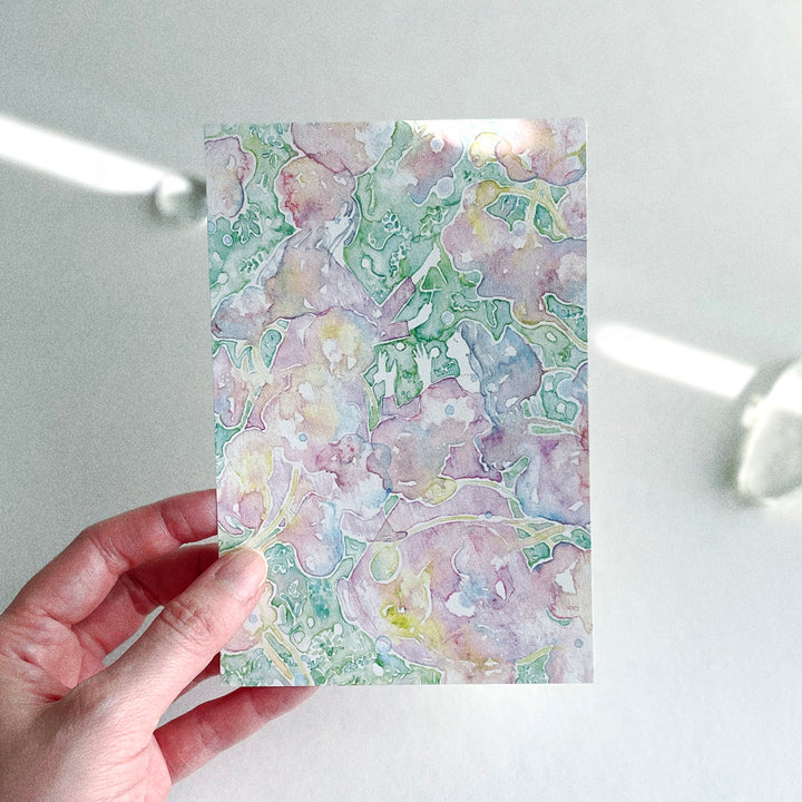 Miku Shimizu / Post Card - lalala