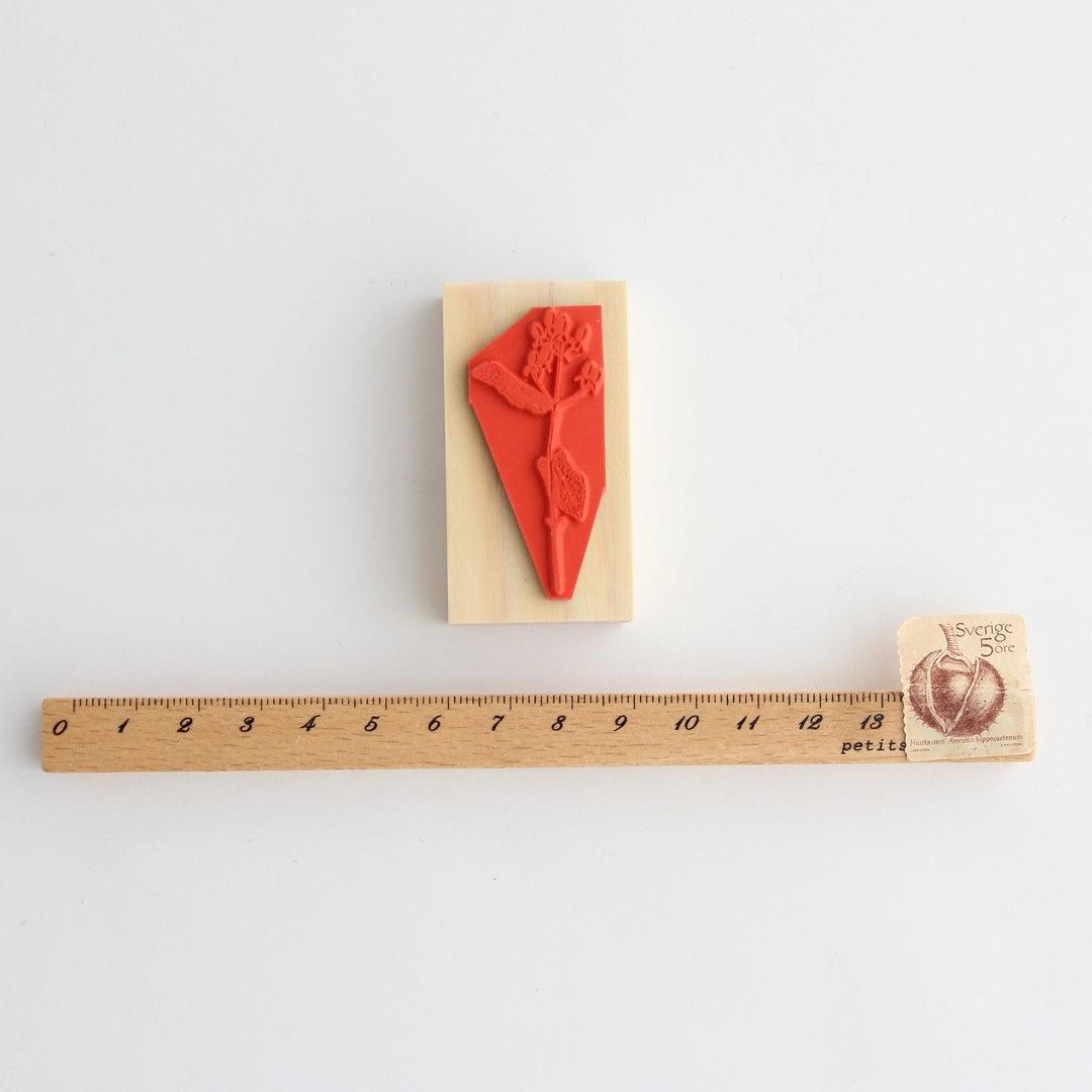 Rubber Stamps -Hypericum