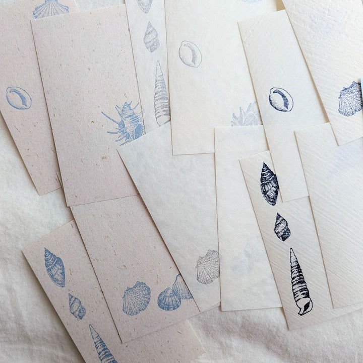 knoten letterpress / Small Box Washi Memo -Seashell