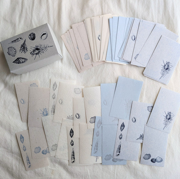 knoten letterpress / Small Box Washi Memo -Seashell