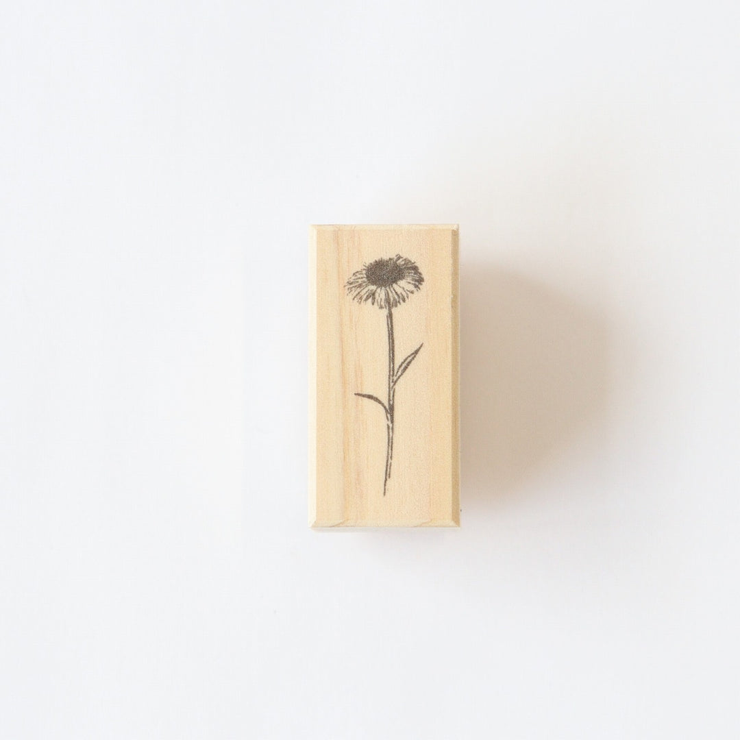 always smiles... / Rubber Stamp -daisy fleabane