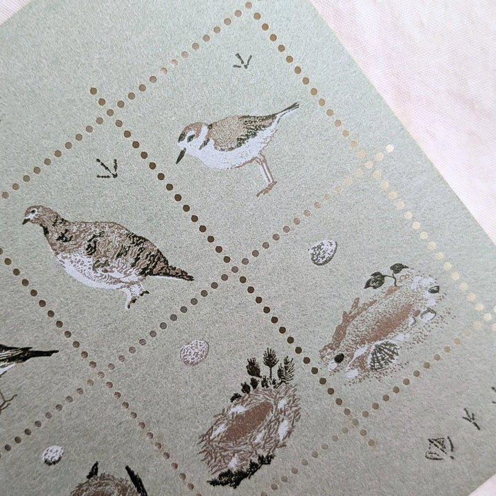 knoten letterpress / Stamp-style sticker -Bird and Nest /Green