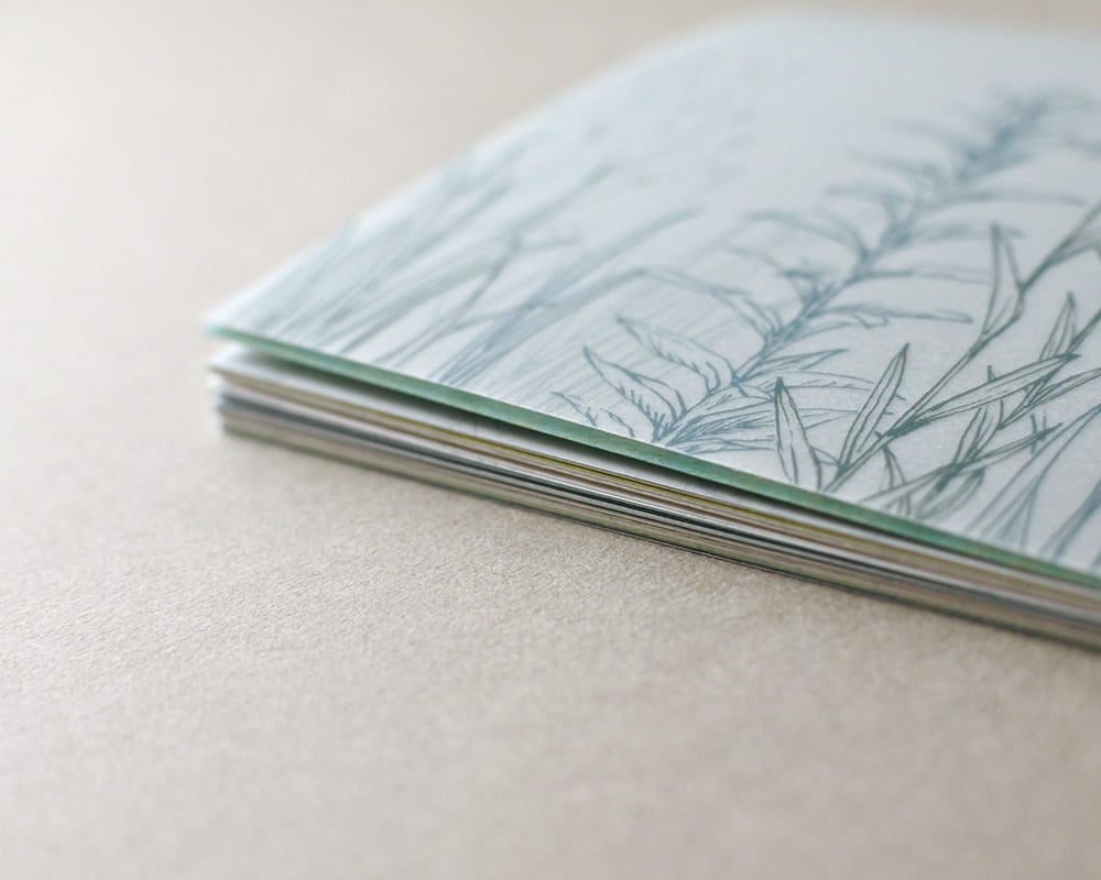 mocolier / Color Notebook -Green grass