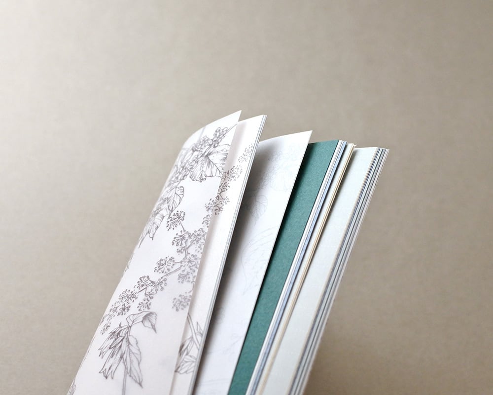 mocolier / Color Notebook -Mountain Wildflowers