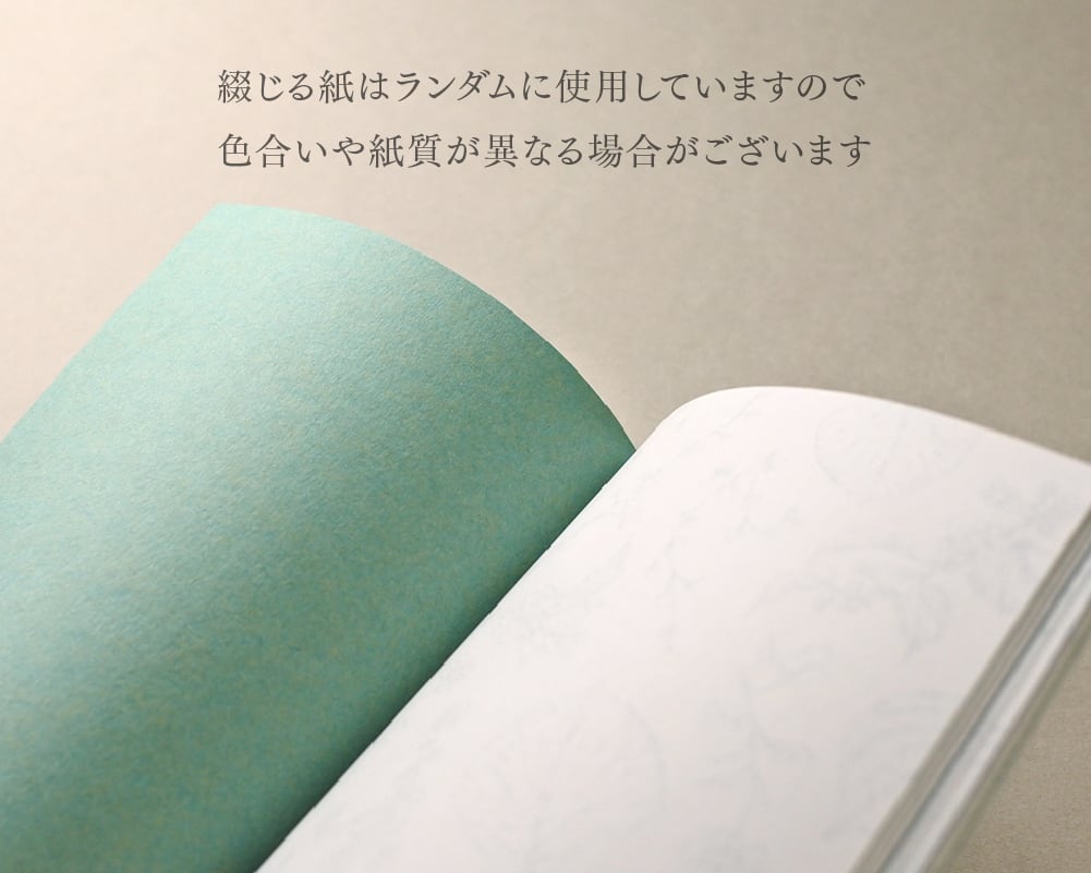 mocolier / Color Notebook -Green grass