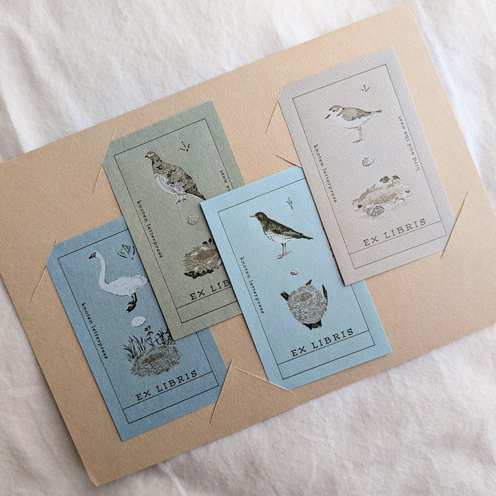 knoten letterpress /  Mini Card Set -Bookplate [Bird and Nest]