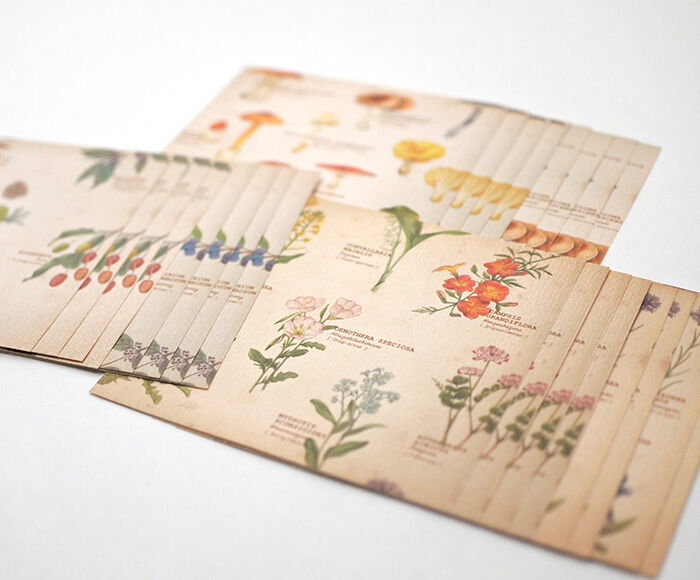 mocolier / Memo Paper -Wild flowers, nuts and mushrooms
