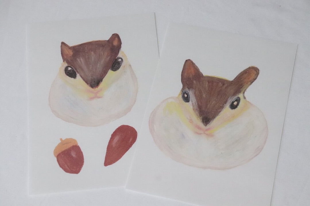 Kisetsu no Tegamiya / Letter Set -Squirrel