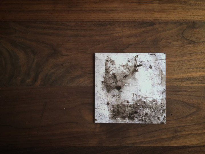 Jun Sasaki / Post Card -Wolf