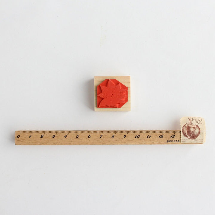 always smile... / Rubber Stamp -Poinsettia