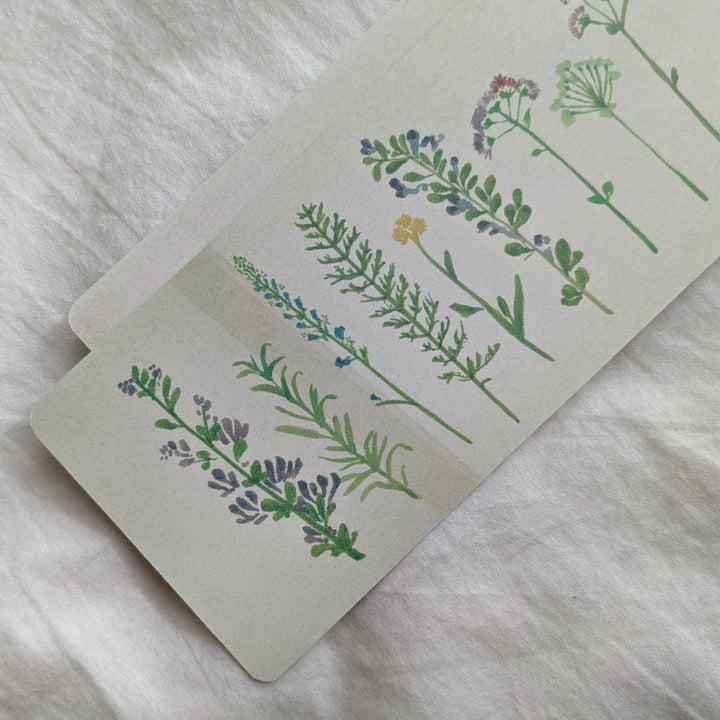 Yuko Omori / Note card -oshibana