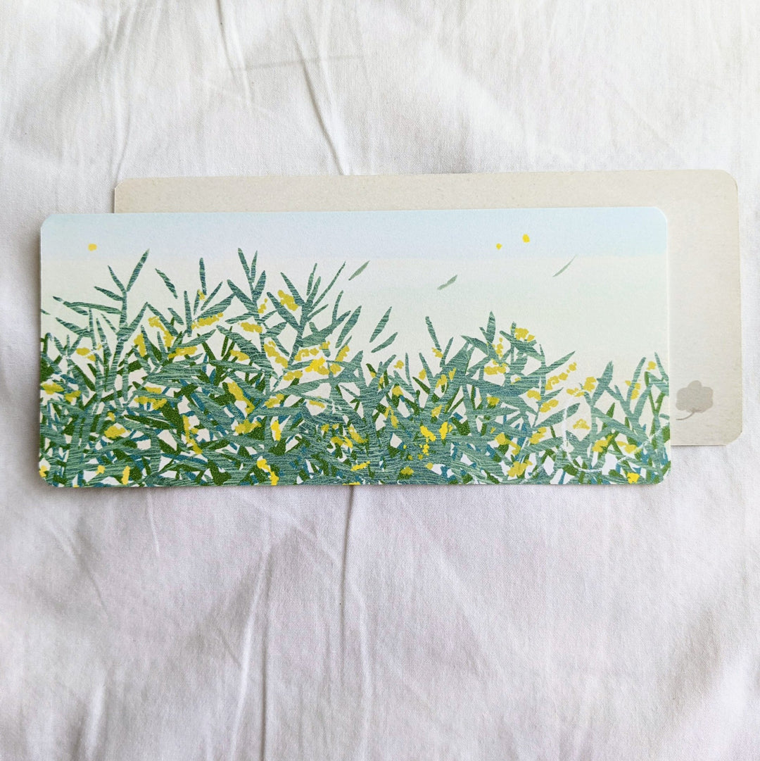 大森木綿子 / カード -akashia