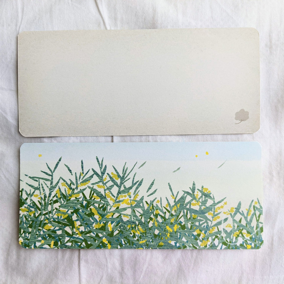 大森木綿子 / カード -akashia