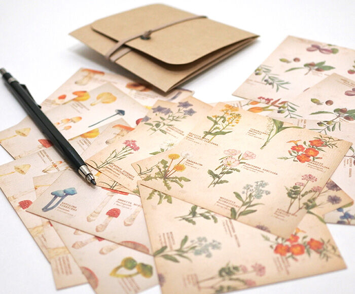 mocolier / Memo Paper -Wild flowers, nuts and mushrooms