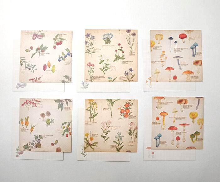 mocolier / Memo Paper -Wild flowers, nuts and mushrooms